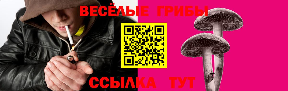 Арзамас  Псилоцибиновые грибы Cubensis  Вход с VPN  Галлюциногенные грибы мицелий 